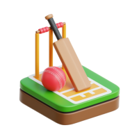 Experience Cricket Like a Pro with a Meet & Greet!